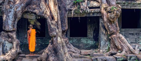 Ta-Prohm-Kambodza-Olympia