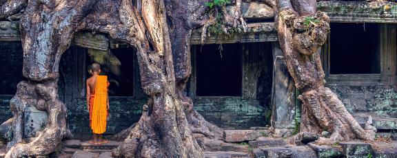 Ta-Prohm-Kambodza-Olympia