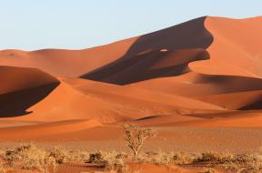 Upeat-dyynit-Namib-Naukluftin-kansallispuistossa-Namibia