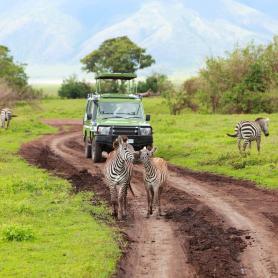 Safariajo-Tansania-Olympia
