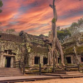 Ta-Prohm-temppeli-Kambodza