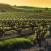 Barossa Valley ja viinitilat