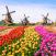 Tulppaanien ja tuulimyllyjen Hollanti